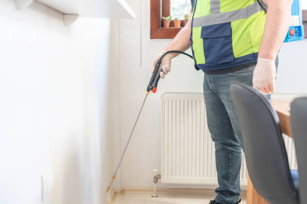 Best Termite Control Services  in Port Hadlock Irondale, WA